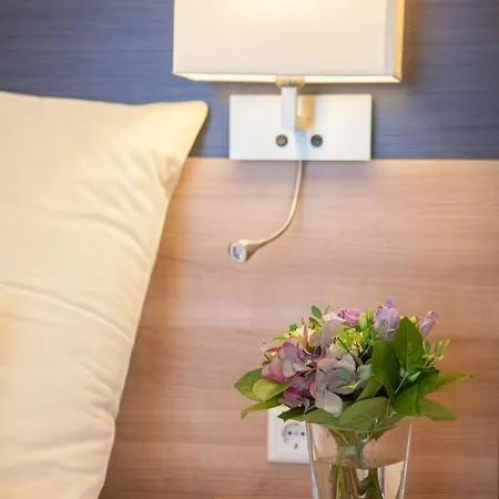 Eulennest Laubach (Giessen)