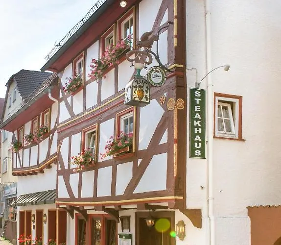 Eulennest Laubach (Giessen)